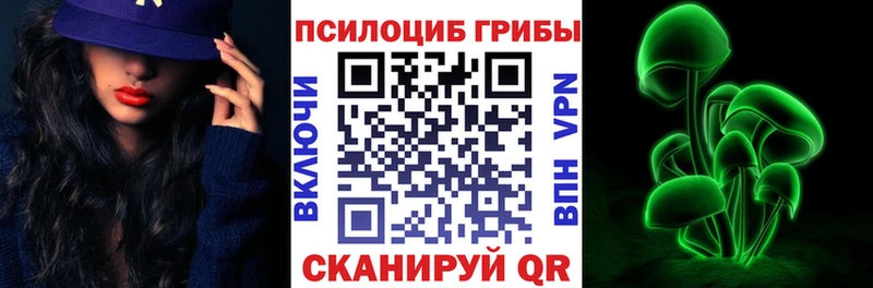 Псилоцибиновые грибы Psilocybe  где купить наркотик  Будённовск 