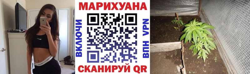 Марихуана сатива  Будённовск 